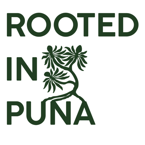 Logo for Printify - Rooted (Stickers (Square)) (1)